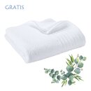 Geschenk-Set "Winter & Meer" Nr. 1 - Sie sparen 30 € - mit GRATIS Duschhandtuch + GRATIS-Weihnachtstüte