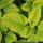 SPAREN "Relax-Kur-SPA" mit GRATIS-Duschtuch-ANTHTRAZIT