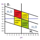 AHORRE "Redox-Plus" - ahorra 6 € - con cuchara dosificadora GRATIS