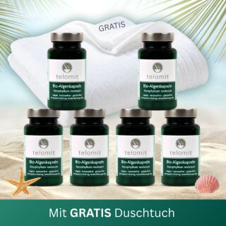 SOMMER-AKTION: MeerSommer + 1 GRATIS-Duschtuch WEISS