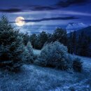 telomit® Relax · Night - Kapseln nach Dr. Probst