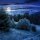 telomit® Relax · Night - Kapseln nach Dr. Probst