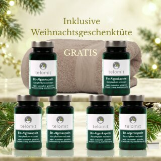 Geschenk-Set "Winter & Meer" Nr. 2 - Sie sparen 30 € - mit GRATIS Duschhandtuch SAND + GRATIS-Weihnachtstüte #1 #1 #1